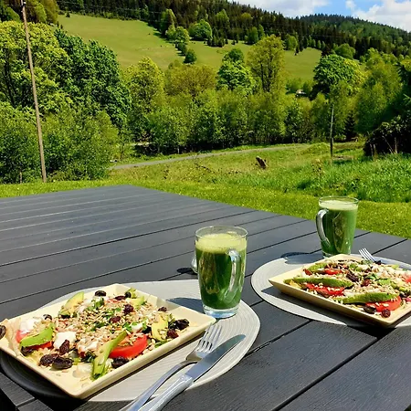 Pod Snieznikiem Prázdninový dům *